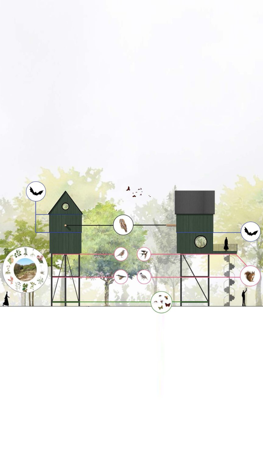 Buitenverblijf Nest - Design and Image : i29 Architects, NAMO Architecture